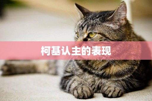 柯基認主的表現
