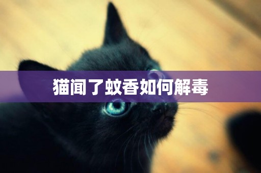 貓聞了蚊香如何解毒