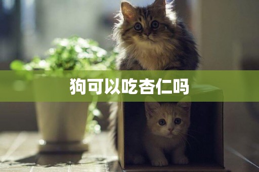 狗可以吃杏仁嗎