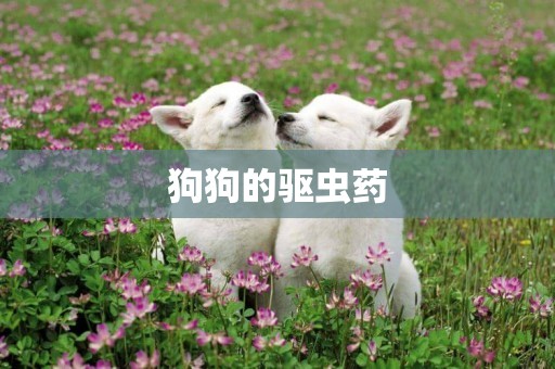 狗狗的驅蟲藥