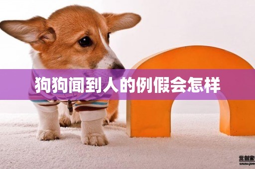 狗狗聞到人的例假會怎樣