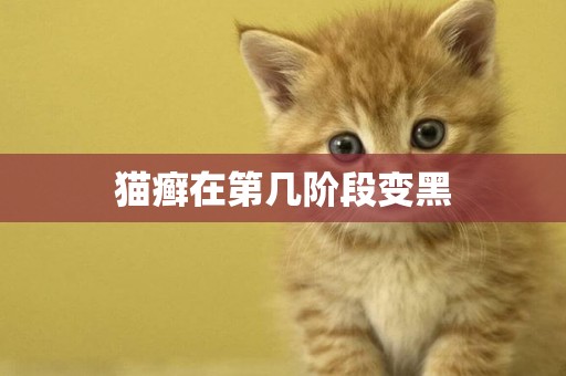 貓癬在第幾階段變黑