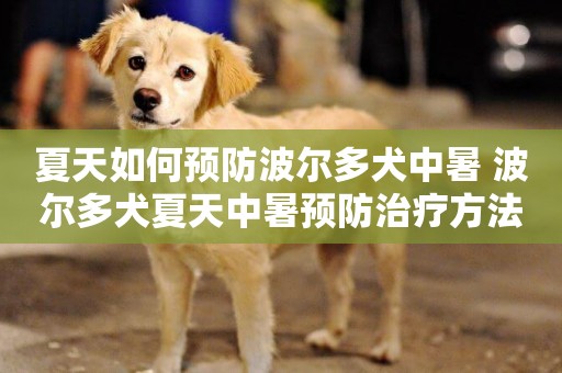夏天如何預防波爾多犬中暑 波爾多犬夏天中暑預防治療方法