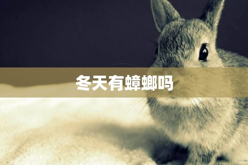 冬天有蟑螂嗎