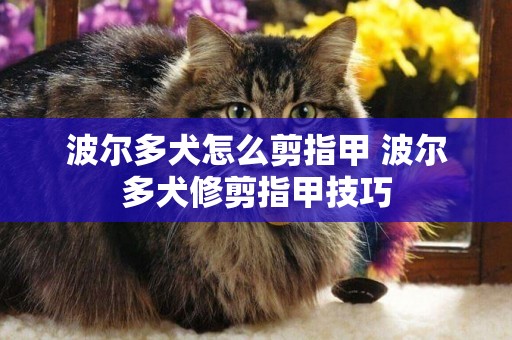 波爾多犬怎么剪指甲 波爾多犬修剪指甲技巧