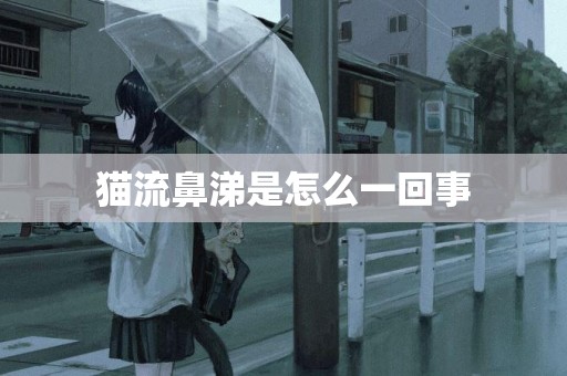 貓流鼻涕是怎么一回事