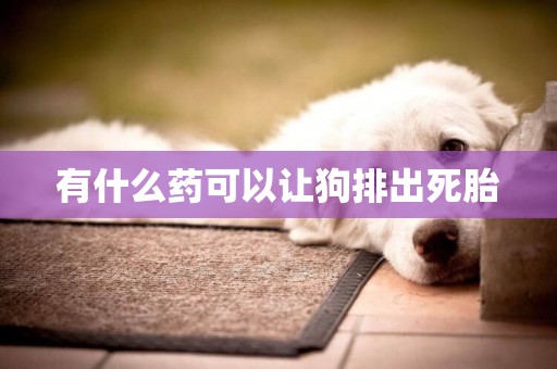 有什么藥可以讓狗排出死胎