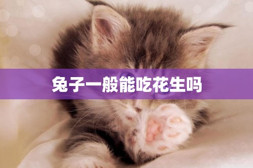 兔子一般能吃花生嗎