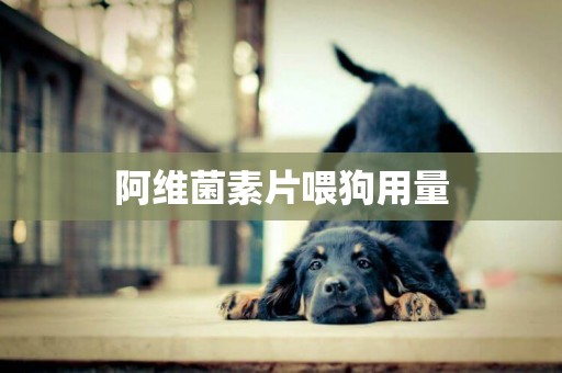 阿維菌素片喂狗用量
