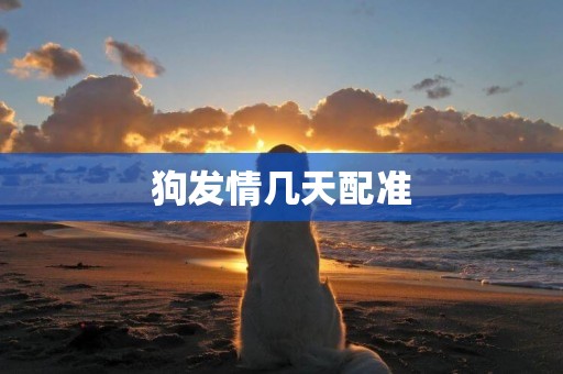 狗發情幾天配準