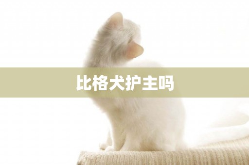 比格犬護主嗎