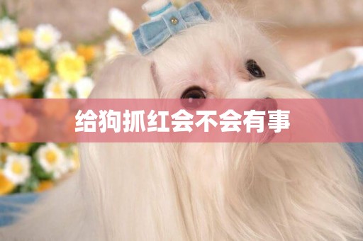 給狗抓紅會不會有事