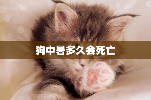 狗中暑多久會死亡