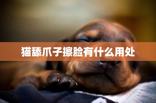 貓舔爪子擦臉有什么用處
