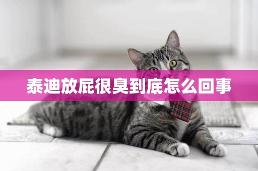 泰迪放屁很臭到底怎么回事