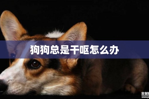 狗狗總是干嘔怎么辦