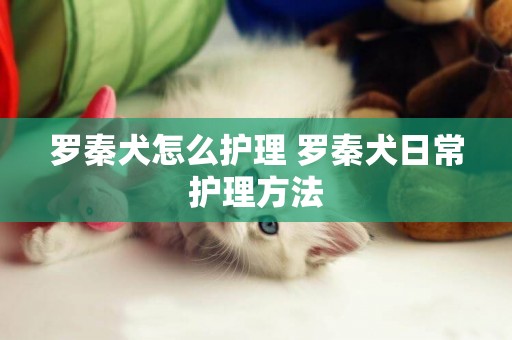 羅秦犬怎么護理 羅秦犬日常護理方法