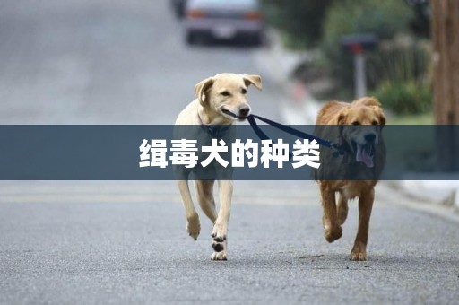 緝毒犬的種類