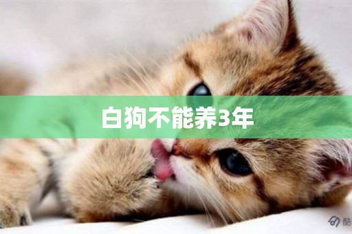 白狗不能養3年
