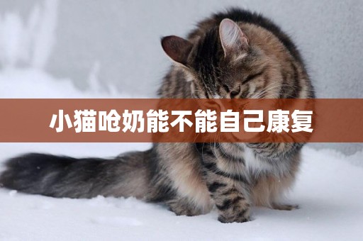 小貓嗆奶能不能自己康復