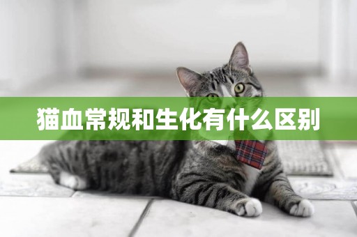 貓血常規和生化有什么區別