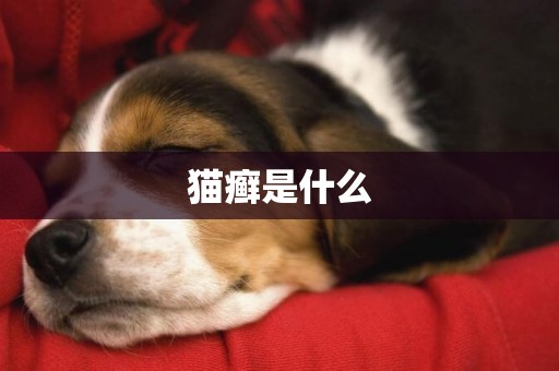 貓癬是什么