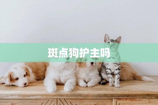 斑點狗護主嗎