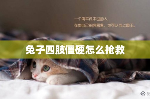 兔子四肢僵硬怎么搶救