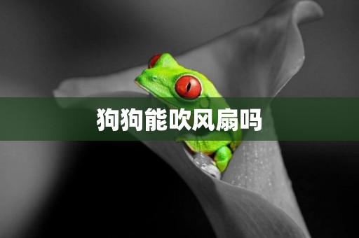 狗狗能吹風扇嗎