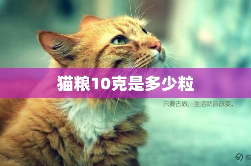 貓糧10克是多少粒