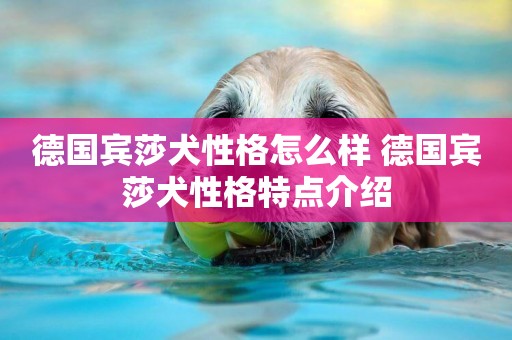 德國賓莎犬性格怎么樣 德國賓莎犬性格特點介紹