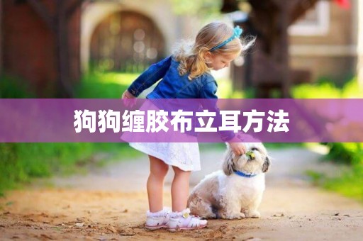 狗狗纏膠布立耳方法