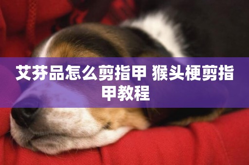 艾芬品怎么剪指甲 猴頭梗剪指甲教程