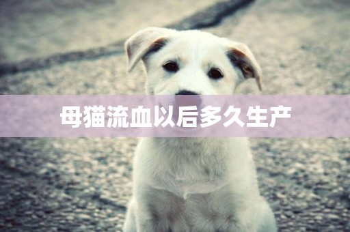 母貓流血以后多久生產