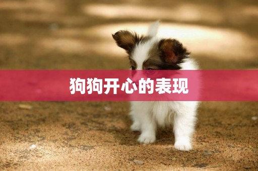 狗狗開心的表現
