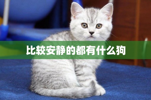 比較安靜的都有什么狗