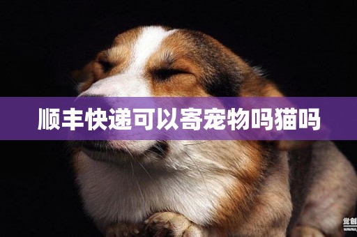 順豐快遞可以寄寵物嗎貓嗎