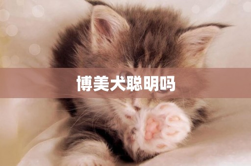 博美犬聰明嗎