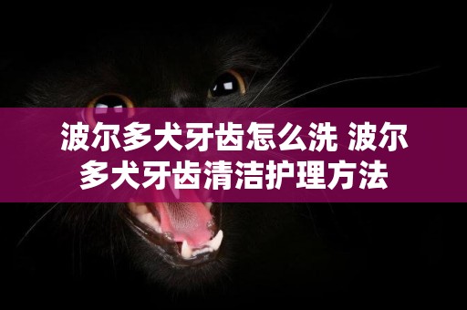 波爾多犬牙齒怎么洗 波爾多犬牙齒清潔護理方法