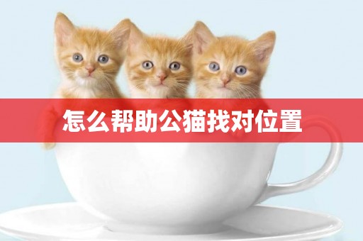 怎么幫助公貓找對位置