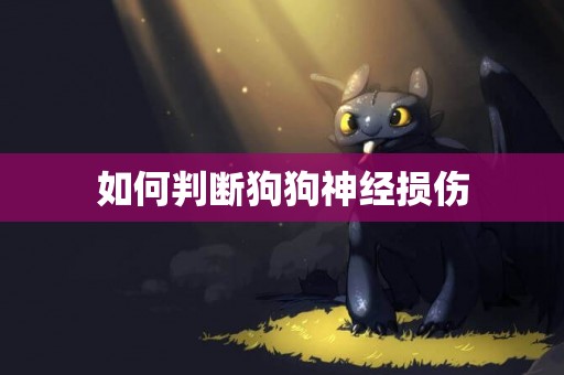 如何判斷狗狗神經損傷
