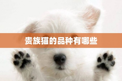 貴族貓的品種有哪些