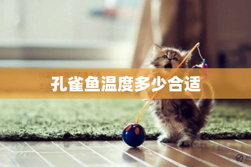 孔雀魚溫度多少合適