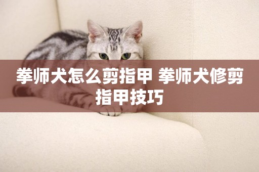 拳師犬怎么剪指甲 拳師犬修剪指甲技巧