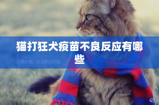 貓打狂犬疫苗不良反應有哪些