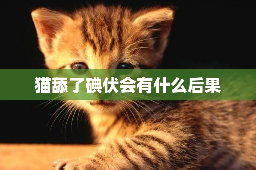 貓舔了碘伏會有什么后果