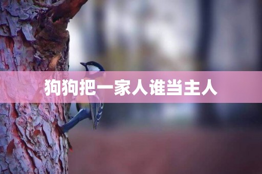 狗狗把一家人誰當主人
