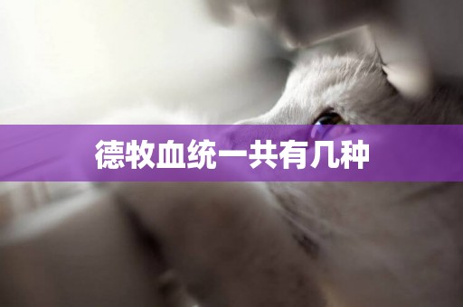德牧血統一共有幾種