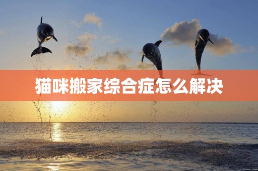 貓咪搬家綜合癥怎么解決