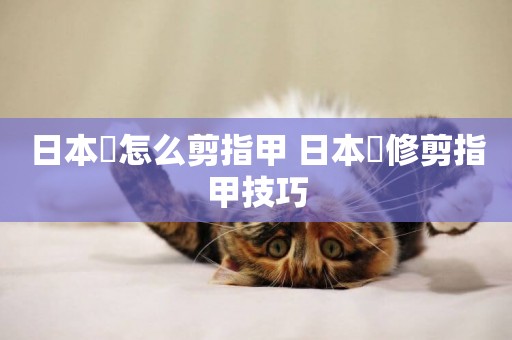 日本狆怎么剪指甲 日本狆修剪指甲技巧